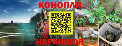 прущие крисы Славянск-на-Кубани