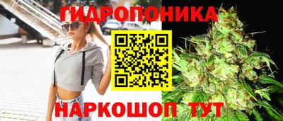 эйфоретик Свободный