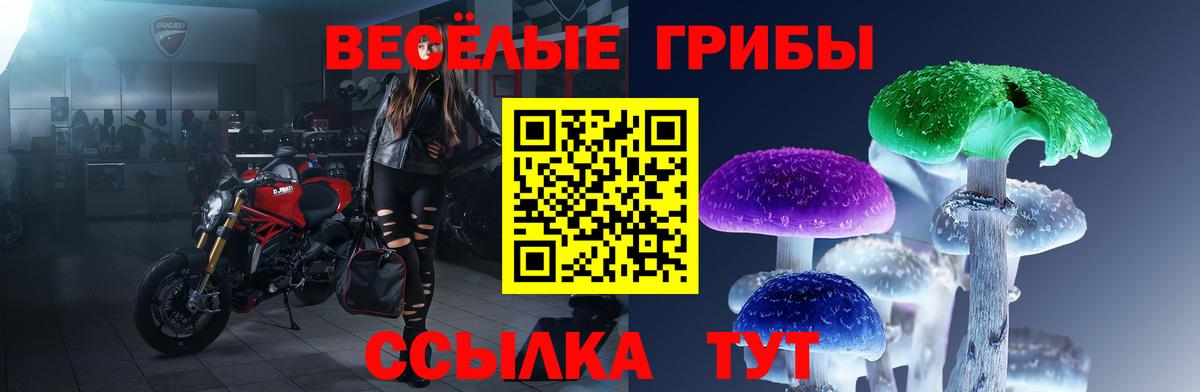 Галлюциногенные грибы Psilocybe Обнинск